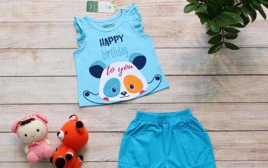 Quần áo trẻ em giá sỉ tại TPHCM - mẫu sọt gấu panda