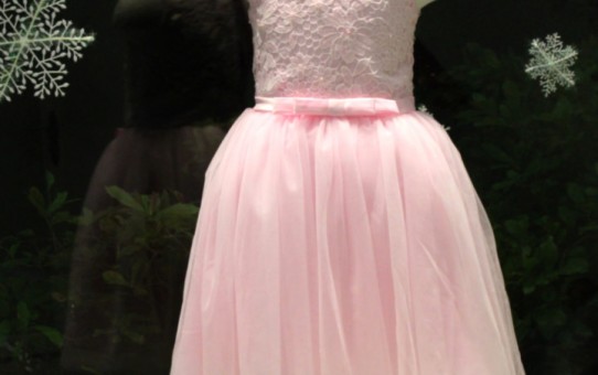 Quần áo trẻ em giá sỉ tại TPHCM _ Đầm công chúa hoa mai